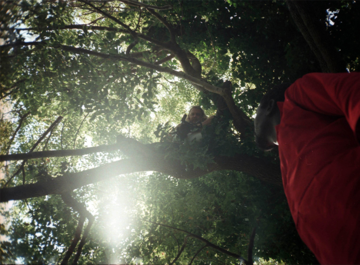 Hanging out in a tree